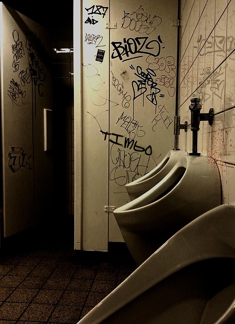 Mobiele sanitaire oplossingen: De perfecte toiletwagen kiezen